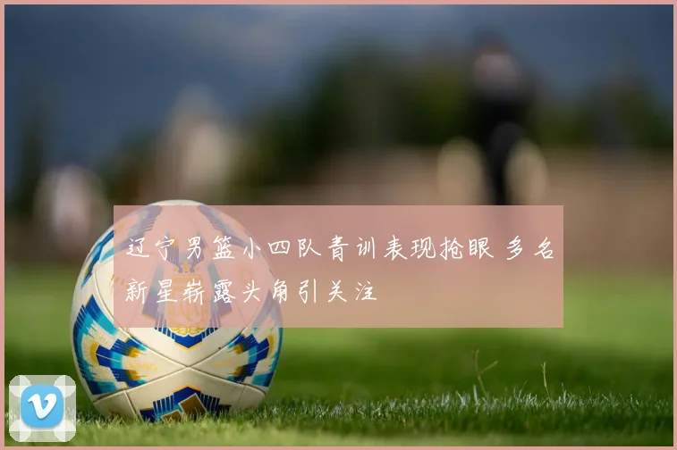 辽宁男篮小四队青训表现抢眼 多名新星崭露头角引关注