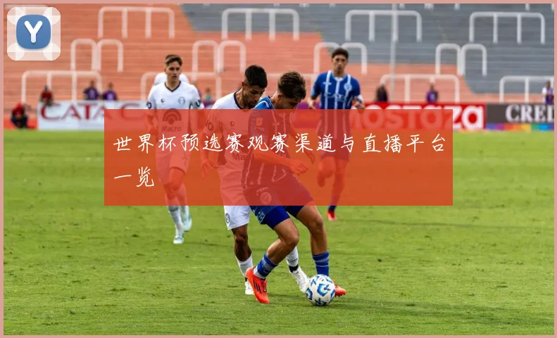 世界杯预选赛观赛渠道与直播平台一览