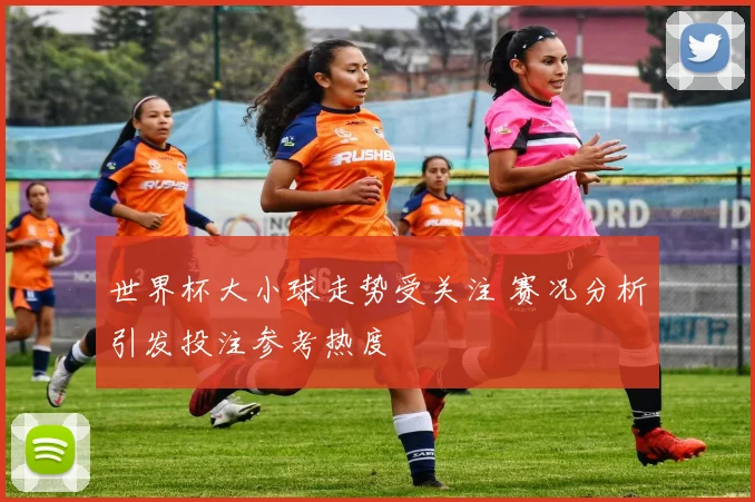 世界杯大小球走势受关注 赛况分析引发投注参考热度