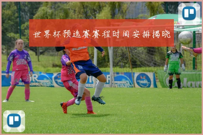 世界杯预选赛赛程时间安排揭晓