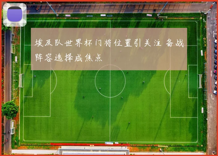 埃及队世界杯门将位置引关注 备战阵容选择成焦点