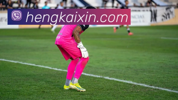 hth华体官网登录入口平台生态图